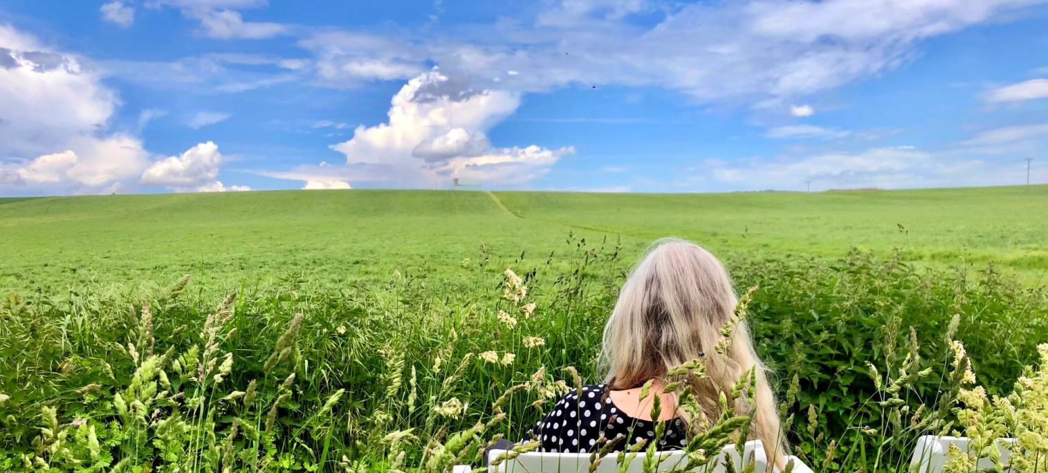 SPIEGELARCHE am Horizont